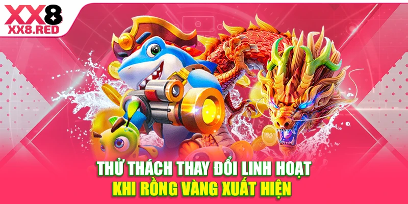 Thử thách thay đổi linh hoạt khi rồng vàng xuất hiện
